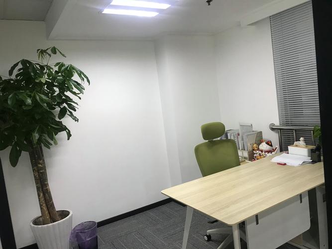 周黎黎,公司經(jīng)營范圍包括:服務:自費出國留學中介服務,文化